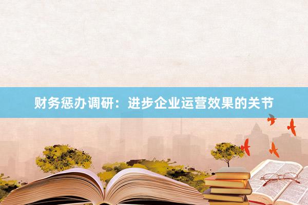 财务惩办调研：进步企业运营效果的关节